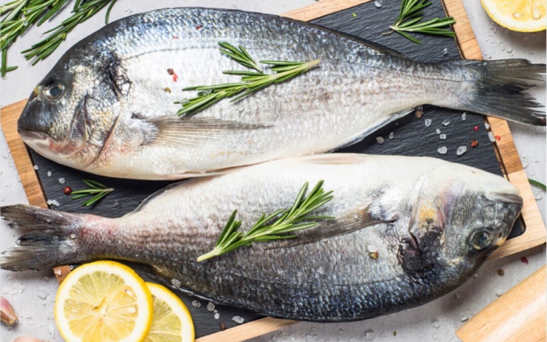 La importancia de tener pescado y marisco fresco y de calidad para tu restaurante