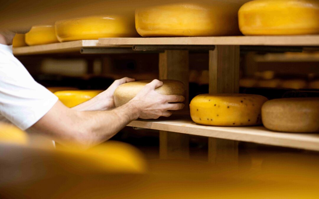 Beneficios para la salud del queso: Los Cameros