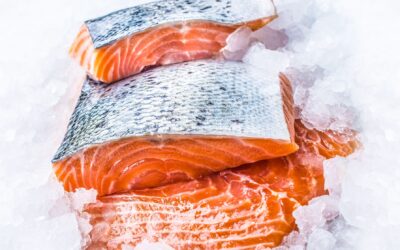 Cómo elegir tu proveedor de pescados y mariscos: criterios reales para hostelería