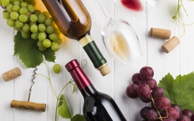 Cómo escoger los mejores vinos para tu restaurante o comercio